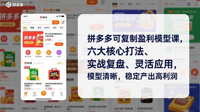 拼多多可复制盈利模型课,六大核心打法、实战复盘、灵活应用,模型清晰,稳定产出高利润-梦清研习社