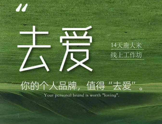 去爱14天鹿大米线上工作坊，你的个人品牌，值得“去爱”-梦清研习社