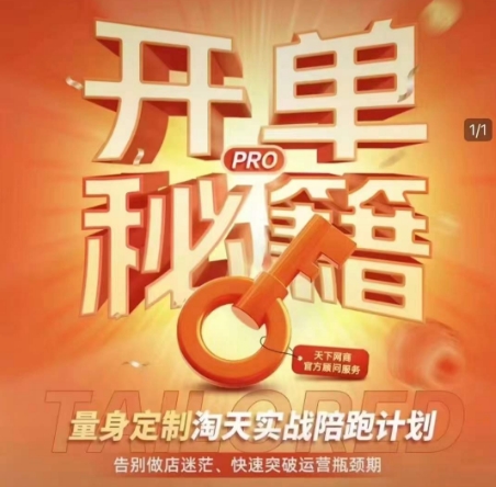 淘宝开单秘籍PRO,量身定制淘天实战陪跑计划,告别做店迷茫、快速突破运营瓶颈期(更新6月)-梦清研习社