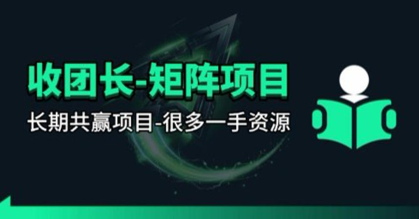 【团长合作】视频矩阵项目_招发手矩阵+剪辑师,共赢项目【揭秘】-梦清研习社