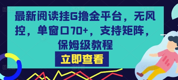 最新阅读挂G撸金平台,无风控,单窗口70+,支持矩阵,保姆级教程【揭秘】-梦清研习社