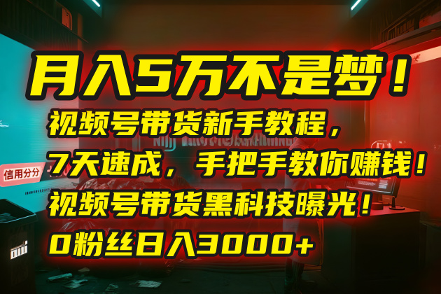 月入5万不是梦！视频号带货新手教程，7天速成，手把手教你赚钱！视频号...-梦清研习社