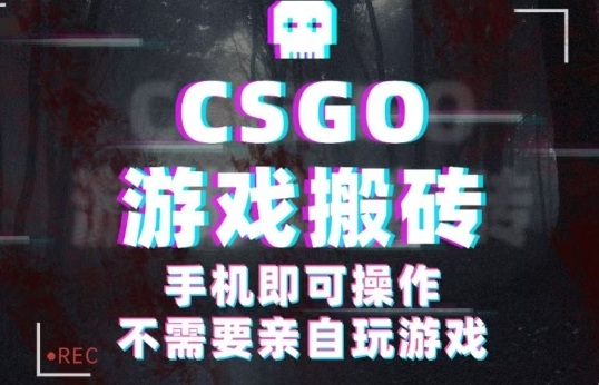 CSGO游戏挂G捡漏，单日扫货5张+，年底小高峰上车可吃肉，手机即可操作，兼职副业创业网创【揭秘】-梦清研习社