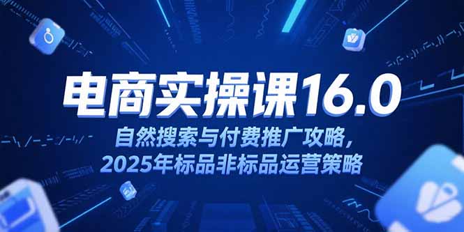 淘宝电商运营课16.0,自然搜索与付费推广攻略,2025年标品非标品运营策略-梦清研习社