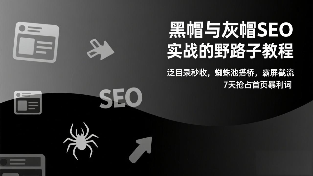 黑帽与灰帽SEO实战的野路子教程：泛目录秒收，蜘蛛池搭桥，霸屏截流，7天抢占首页暴利词-梦清研习社