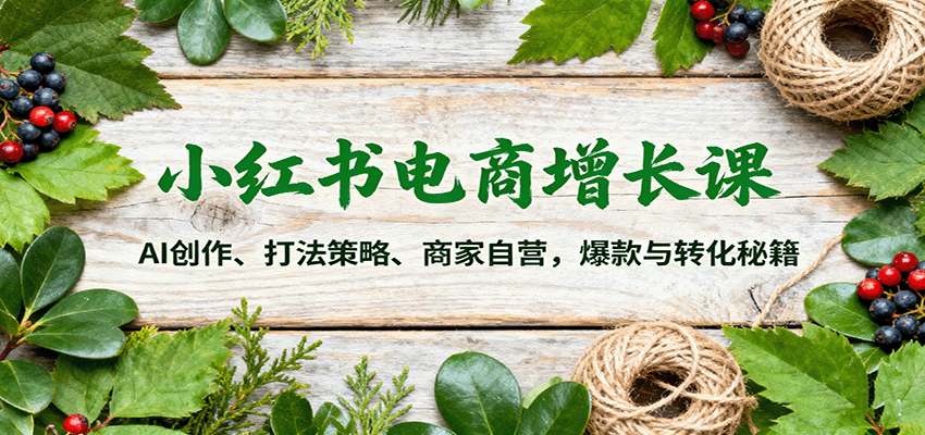 小红书电商增长课：AI创作、打法策略、商家自营，爆款与转化秘籍-梦清研习社