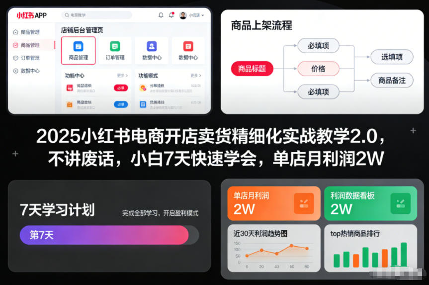 2025小红书电商开店卖货精细化实战教学2.0，不讲废话，小白7天快速学会，单店月利润2W-梦清研习社