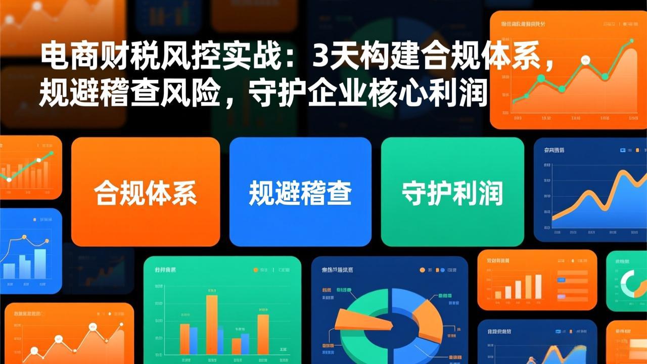 电商财税风控实战:3天构建合规体系,规避稽查风险,守护企业核心利润-梦清研习社