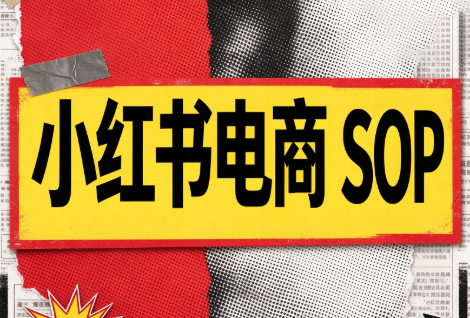 书豪必胜小红书电商sop(更新9月)-梦清研习社