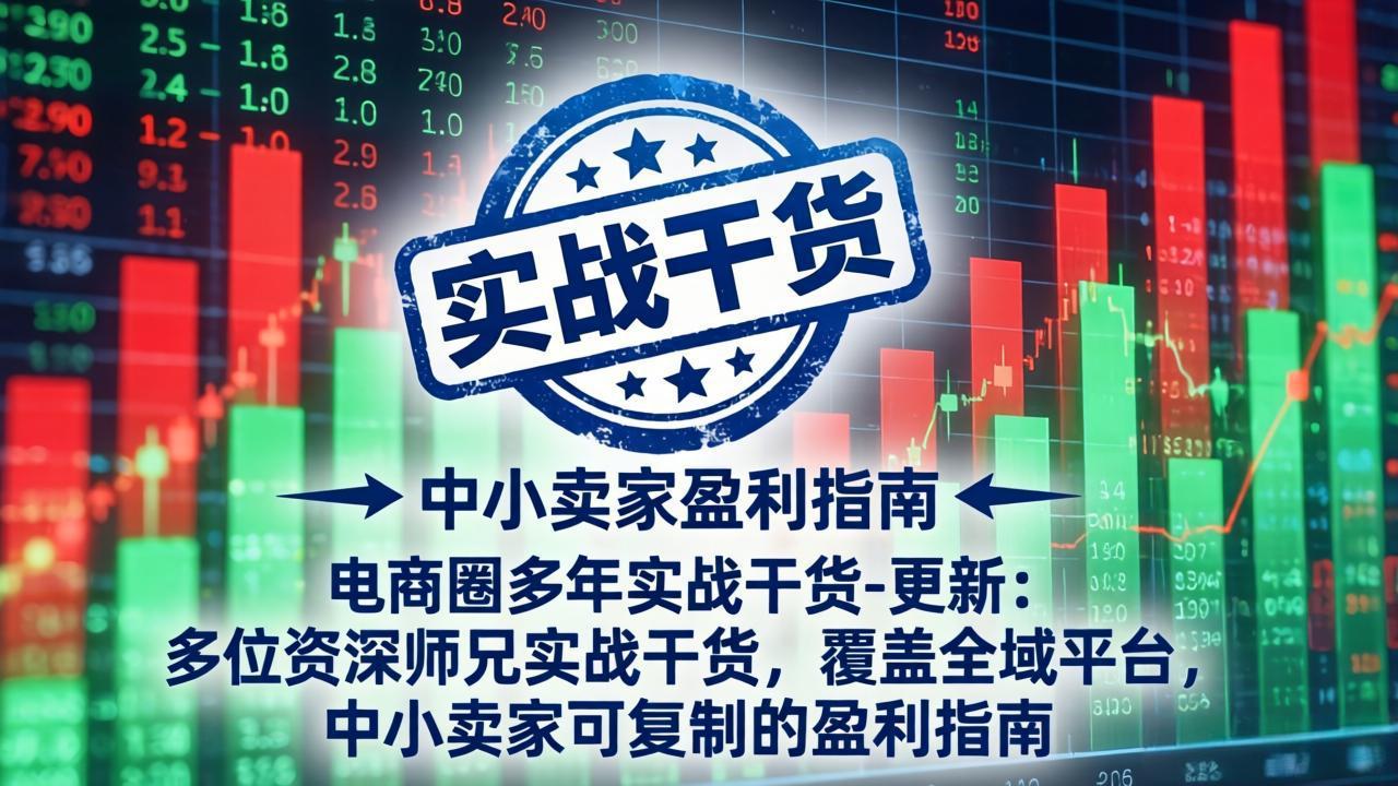 电商圈多年实战干货-更新4月:多位资深师兄实战干货,覆盖全域平台,中小卖家可复制的盈利指南-梦清研习社