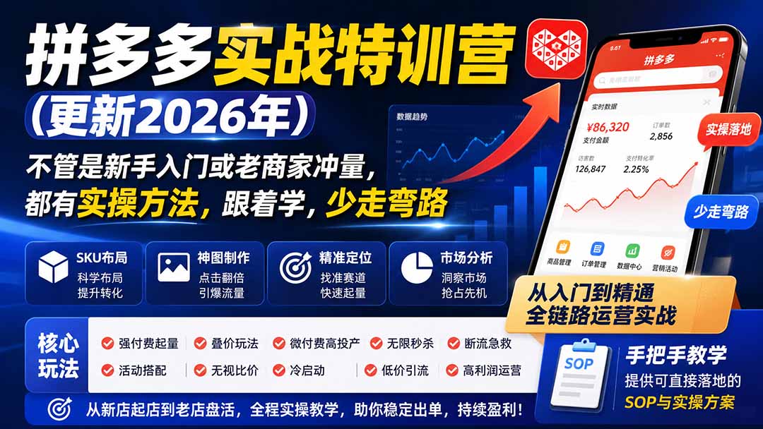 拼多多实战特训营(更新26年0827-梦清研习社