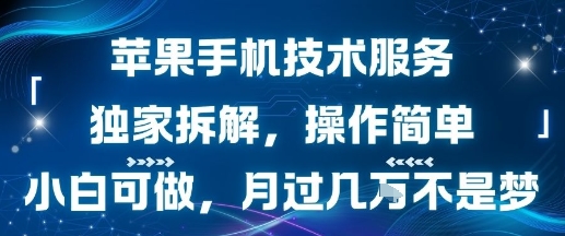 苹果手机技术服务，独家拆解，操作简单，小白可做，月过1W不是梦-梦清研习社