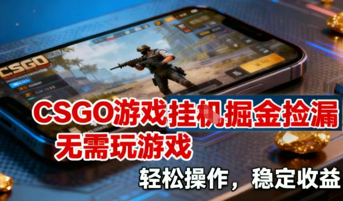 CSGO游戏挂G掘金捡漏，不需要玩游戏，操作简单，收益稳定【揭秘】-梦清研习社