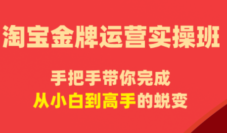 飓风电商·淘宝金牌运营实操班-梦清研习社