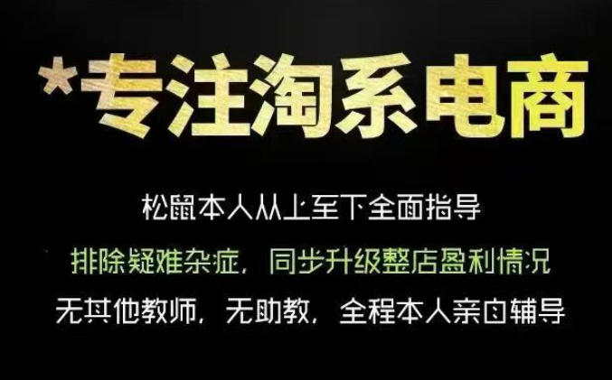 松鼠会电商VIP课程，从基础布局到高阶优化，助你掌握淘宝运营逻辑，提升店铺流量与转化(更新0809)-梦清研习社