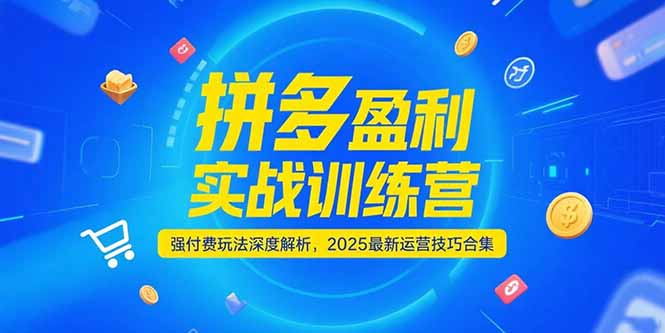 拼多多盈利实战训练营,强付费玩法深度解析,2025运营技巧合集-更新6月-梦清研习社