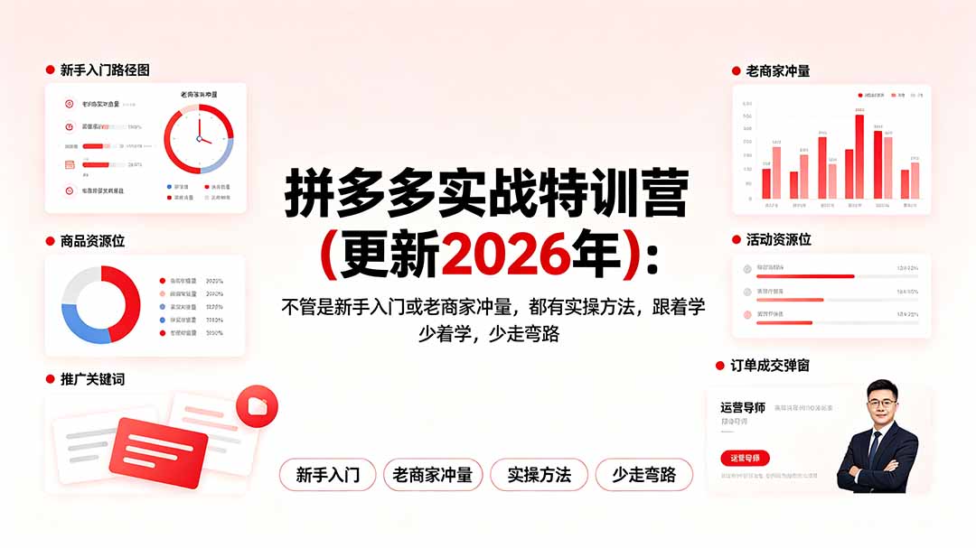 拼多多实战特训营(更新2026年-梦清研习社