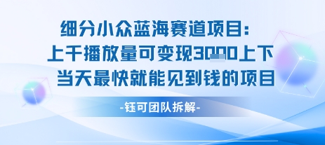 小众蓝海赛道项目:当天变现1k+适合新手操作 +适合长期玩-梦清研习社
