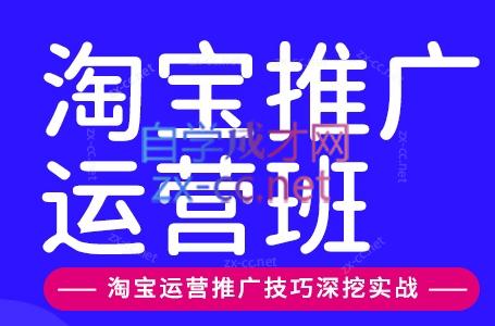 美迪电商·淘宝高级运营班+推广运营班(更新9月)-梦清研习社
