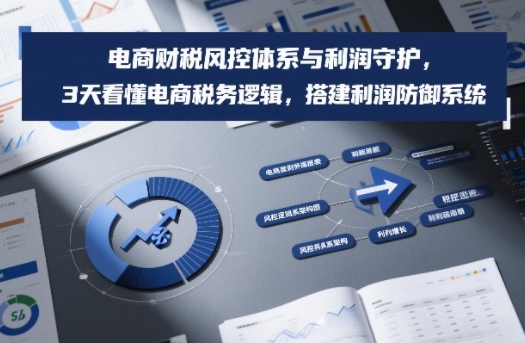 电商财税风控体系与利润守护，3天看懂电商税务逻辑，搭建利润防御系统-梦清研习社