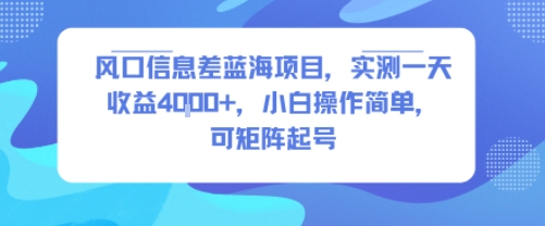 风口信息差蓝海项目，实测一天收益4k+，小白操作简单，可矩阵起号-梦清研习社