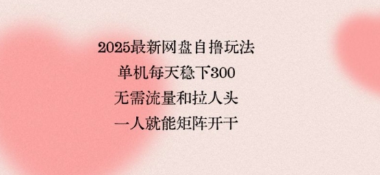 2025最新网盘自撸玩法,单机每天稳下3张,无需流量和拉人头,一个人就可轻松矩阵,全网独一份【揭秘】-梦清研习社