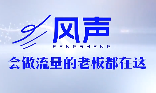 董十一·风声短视频AI获客年度会员-梦清研习社