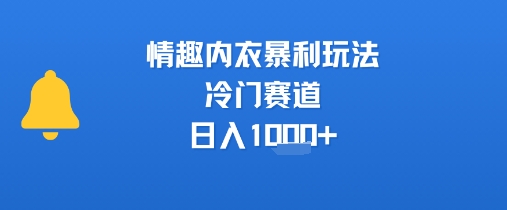 情趣内衣暴利玩法,冷门赛道,日入1k+-梦清研习社
