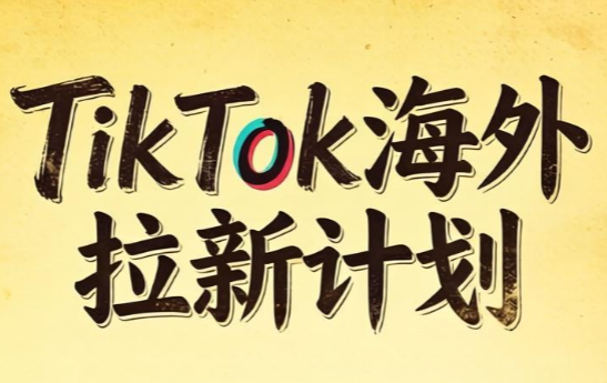 Tc联盟·TikTok海外拉新项目(更新9月)-梦清研习社