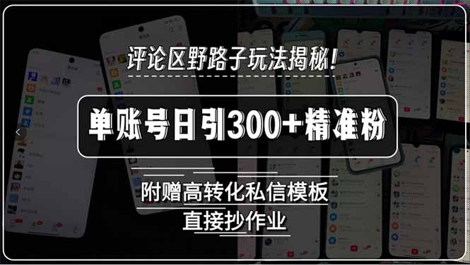 评论区野路子玩法揭秘！单账号日引300+精准粉，附赠高转化私信模板，直...-梦清研习社